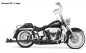 Preview: FULL EXHAUST SYSTEM 2-2THRUE DUAL FISHTAIL FOR SOFTAIL  MY  99-17 - EU APPROVED